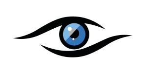 Logo Vision Sud Réunion